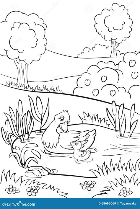 Duck Pond Coloring Coloring Pages