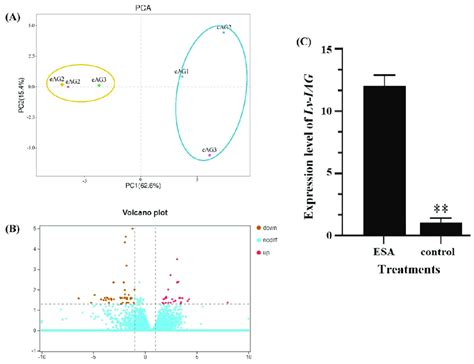 Principal Component Analysis Pca Of The Transcriptome Identification Download Scientific