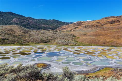 Natural Wonders: Spotted Lake » Explorersweb