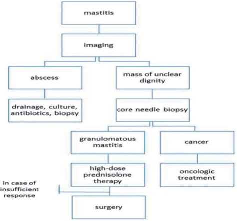 Figure 1 From Management Of Granulomatous Mastitis Semantic Scholar