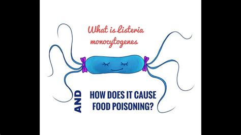 What is Listeria Monocytogenes? - YouTube