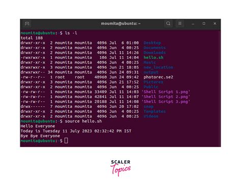 How To Run A Script In Linux Scaler Topics