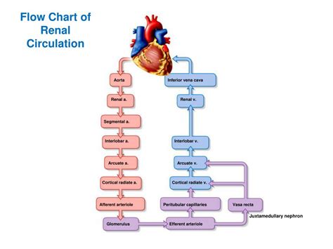 Ppt Lesson 20 Powerpoint Presentation Free Download Id 1877168