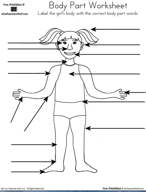 Labelling Body Parts Worksheet