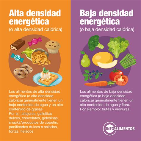 La Importancia De Una Alimentaci N Basada En Alimentos De Alta Calidad