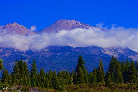 weedcalifornia journey  discovery