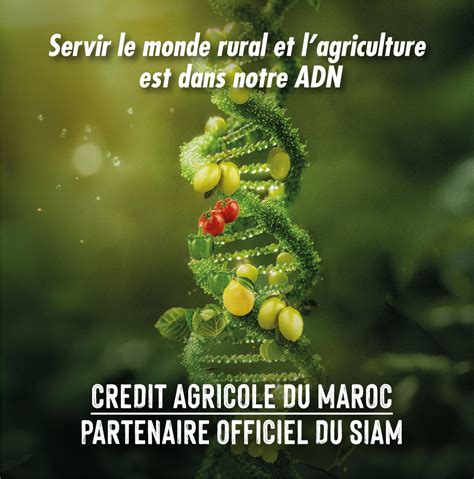 Cr Dit Agricole Du Maroc Partenaire Officiel Du Salon International De