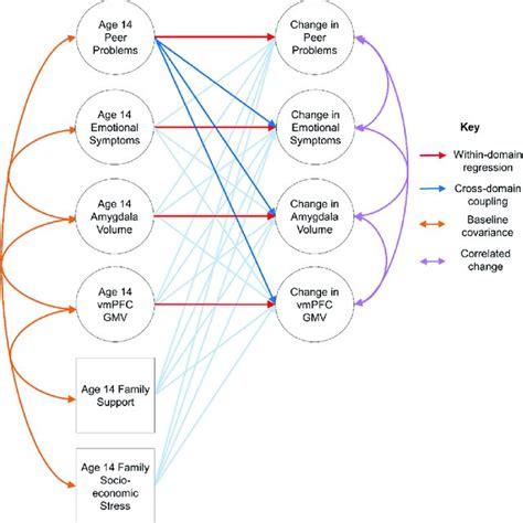 Multivariate Latent Change Score Models Showing Withinvariable