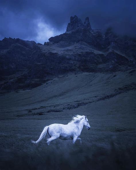 รายการ 96 ภาพ แปล เพลง White Horse ครบถ้วน