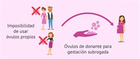 Se puede emplear la donación de óvulos en gestación subrogada