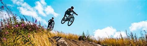 Liv Mountain Bikes – Bicycle Warehouse