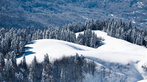 デスクトップ壁紙 風景 自然 雪 冬 松の木 荒野 アルプス サミット リッジ 天気 シーズン ピステ 山岳地形