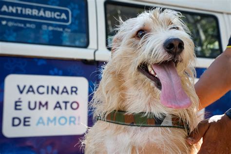 Campanha Antirr Bica Chega Zona Norte Neste S Bado Prefeitura Da