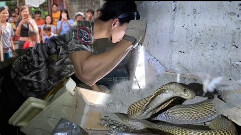 Itim Na Cobra Sa Silong Ng Bodega Youtube