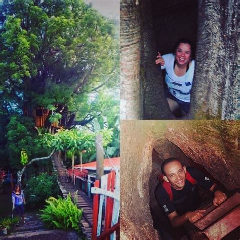 There Is A Man That Is Standing In The Treehouse And Another Photo Of Him