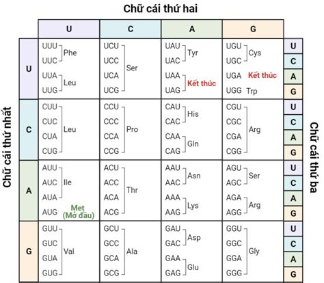 Axit Amin Mở Đầu Khám Phá Vai Trò và Tầm Quan Trọng Trong Sinh Học