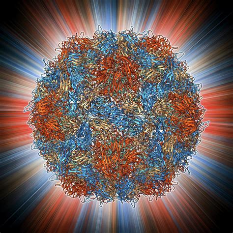 Poliovirus Type 3 Capsid Photograph By Laguna Design Fine Art America