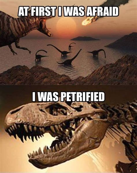 Pin On Just Because It S Funny Dinosaur Funny Memes Terrible Memes