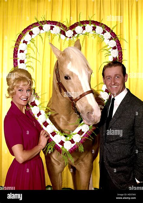 MR. ED, Connie Hines, Mr. Ed, Alan Young, 1961-1966 Stock Photo - Alamy