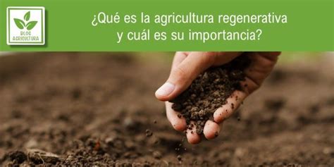 Qué es la agricultura regenerativa y cuál es su importancia