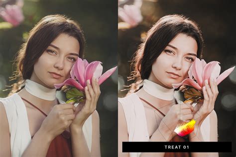 Lr Neapolitan Lightroom Presets Luts