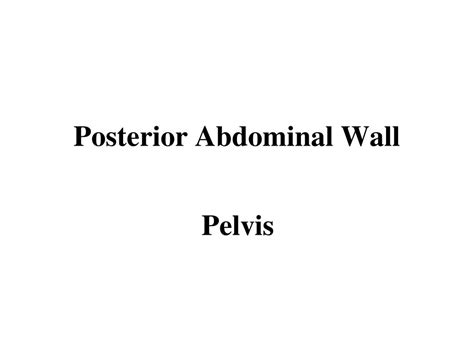 Ppt Posterior Abdominal Wall Powerpoint Presentation Free Download