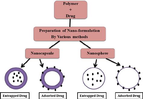 Different Types Of Polymer Based Nanoparticles Download Scientific Diagram