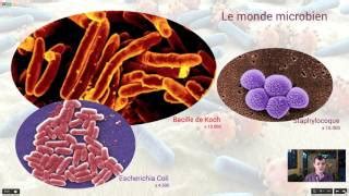 Svt Eme Le Monde Microbien Et La Sant