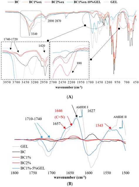 A Fourier Transform Infrared Ftir Spectra Of Native And