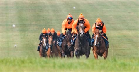 Newmarket Training Grounds - Jockey Club Estates