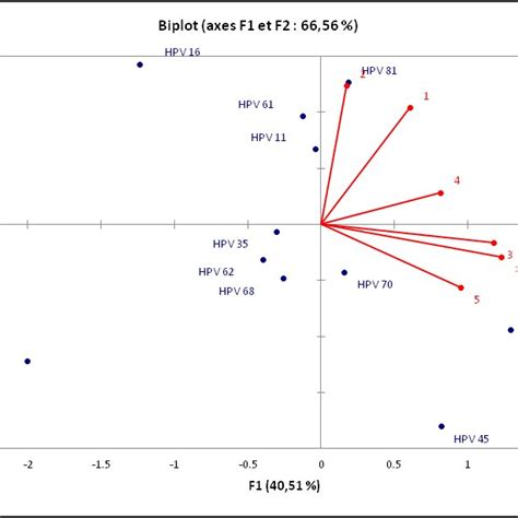 Observation Diagram Of Hpv And First Sexual Exposure Download Scientific Diagram