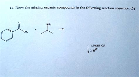 SOLVED 14 Draw The Missing Organic Compounds In The Following