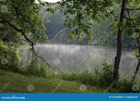 Fog Hovering Over The Lake Stock Photo Image Of Green 187580822