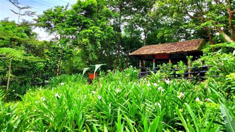 嶄新開啟，土城後花園秘境，五星級的原住民族生態公園 健行筆記