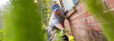 DIY Rodent Trapping | Western Exterminator