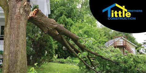 How To Tell If Your Roof Was Damaged By High Winds 1 Michigan