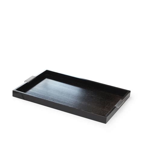 Modern Stainless Steel Handled Tray