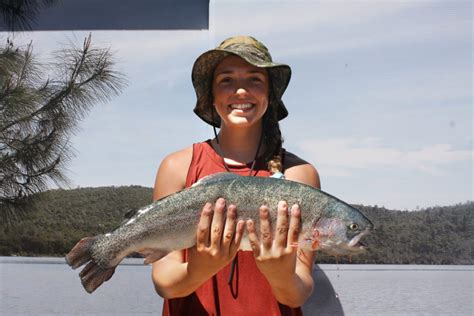 Collins Lake Lots Of Limits Trophy Trout As Planting Continues