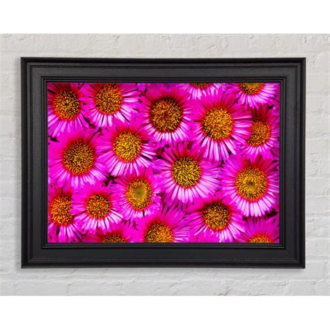 Ebern Designs Gerahmtes Leinwandbild Sea Of Pink Flowers Wayfair De