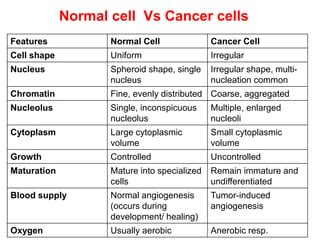 Structure and Characteristics of Normal and Cancerous cells.pptx