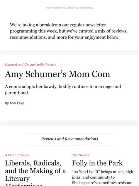 The New Yorker Amy Schumers Mom Com—jonathan Escofferys Stories Of Desperation—the Rise And