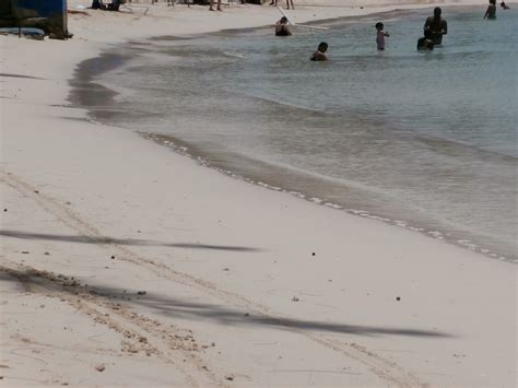 Tuesday Tales Picture Beach Flossie Benton Rogers Author