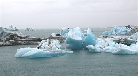 La Fao Analizó Los Efectos Del Cambio Climático En La Pesca Y