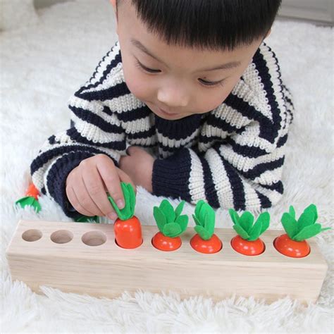 ca rot nhieu kich   choi thong minh  choi tri tue