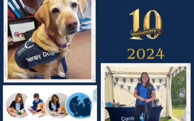 Specialist school dog interventions, school dog training courses ...