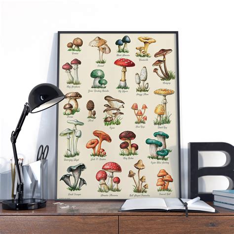 Mushrooms Print Fungi Vintage Poster Vintage Mushrooms Etsy