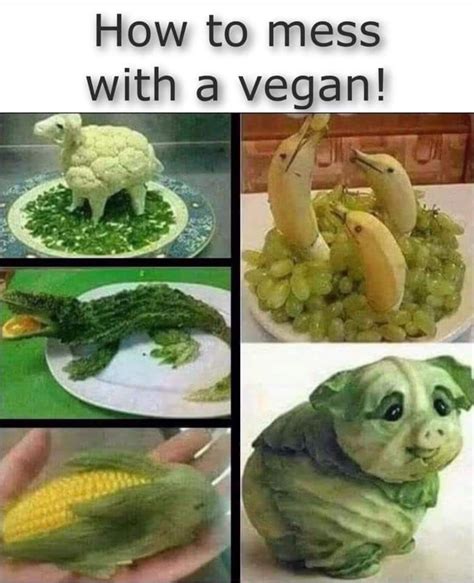 Let Me First Say There Is Nothing Wrong With Being A Vegan With That