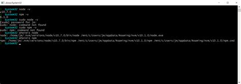 Node Js Sudo Npm Command Not Found In WSL Stack Overflow