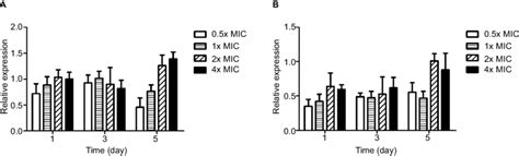 The Relative Expression Of Two Efflux Pumps Genes Mexa And Mexe Notes