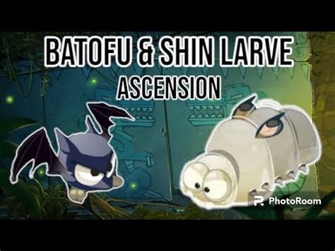 Dofus Touch Batofu Shin Larve Ascension Youtube